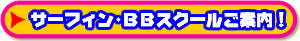 サーフィン・BBスクール